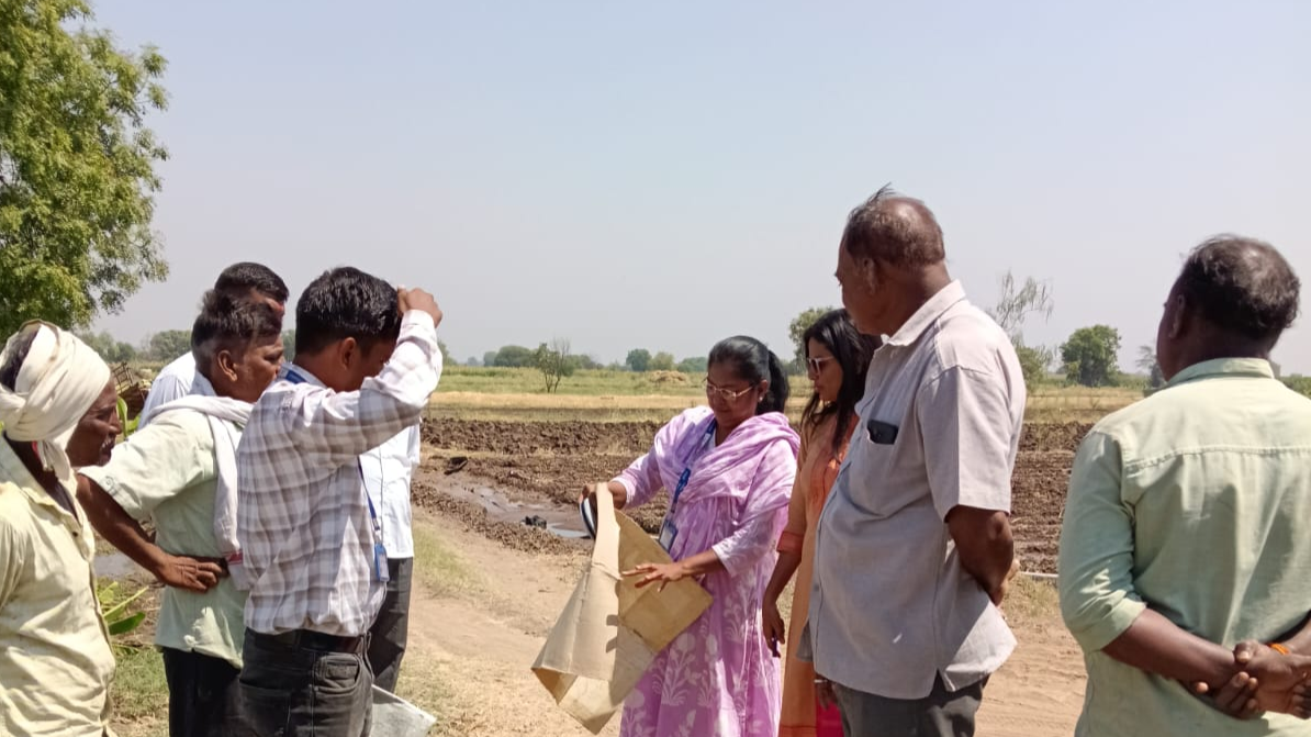 पाणंद रस्ते, शिव रस्ते आखणी