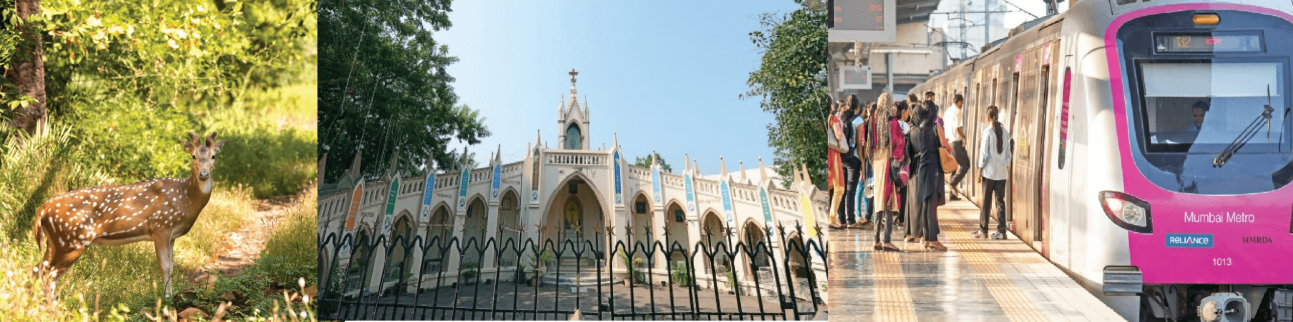 SGNP, St. Mary Church, Metro