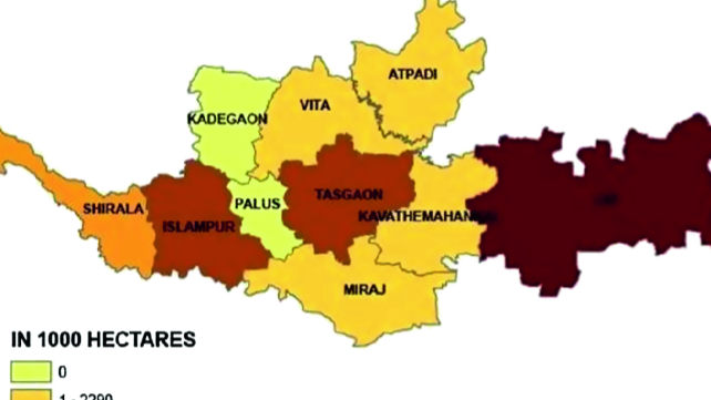 सांगली प्रशासकीय रचना